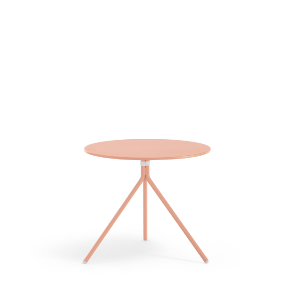 nolita 5453T